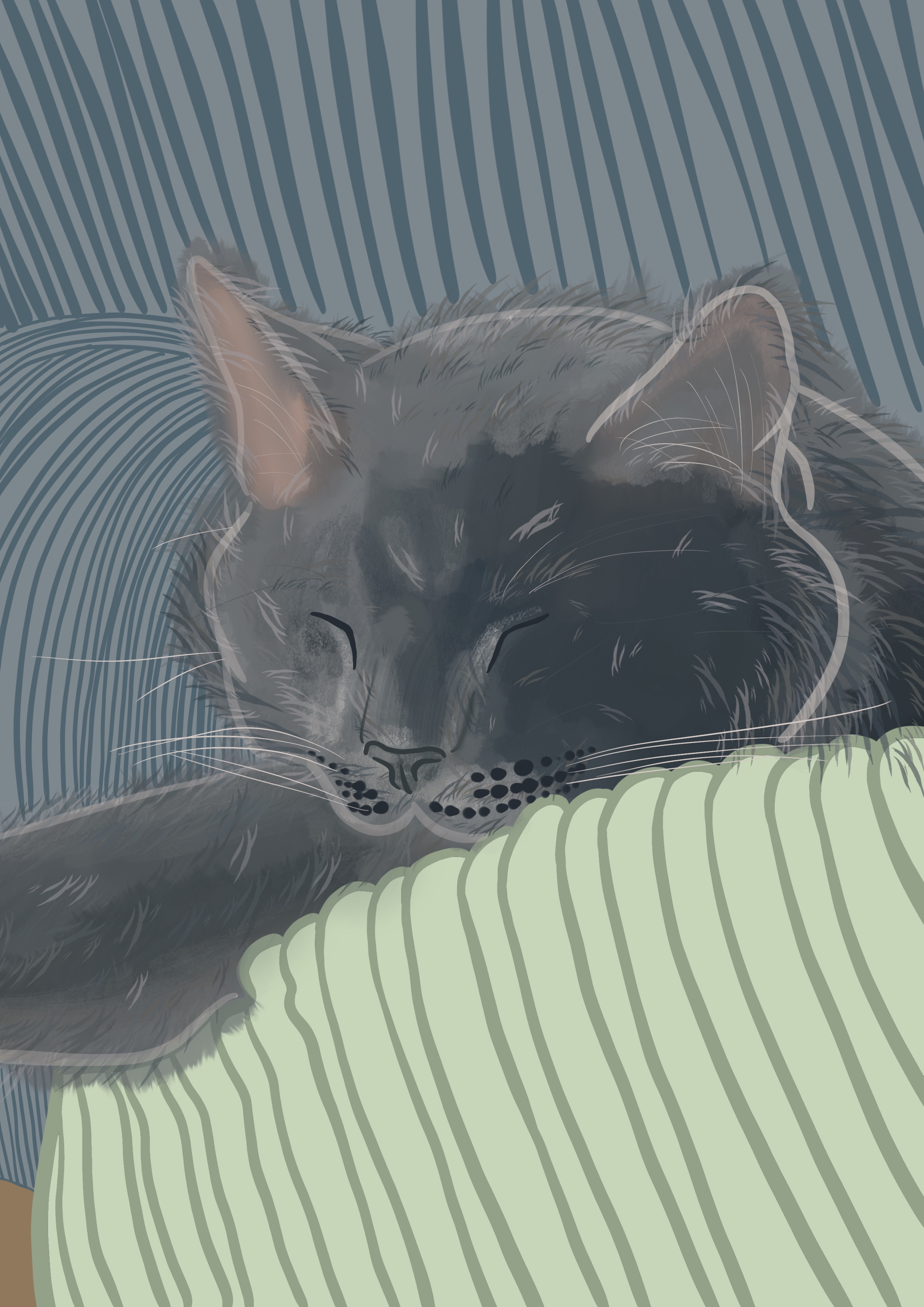 Illustration